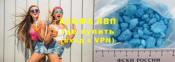 ECSTASY Бородино