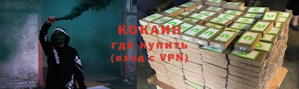 бошки Бронницы