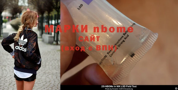 ECSTASY Бородино