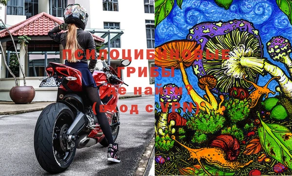 ECSTASY Бородино