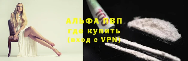 ECSTASY Бородино