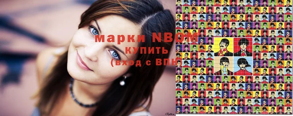 бошки Бронницы
