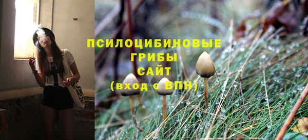 бошки Бронницы