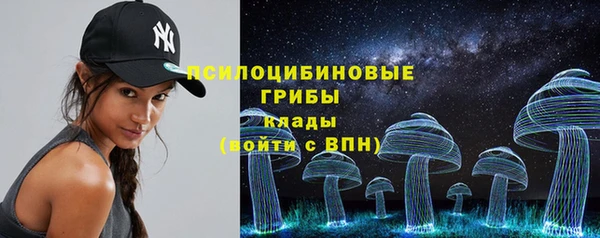 бошки Бронницы