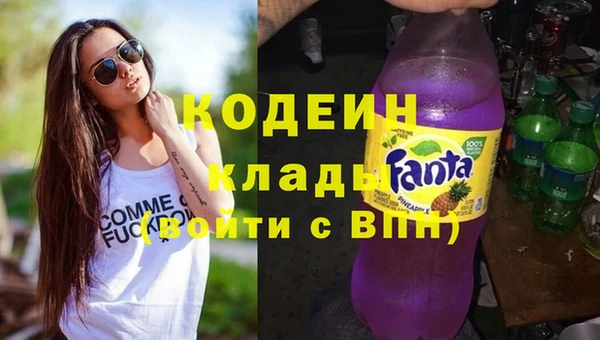 ECSTASY Бородино