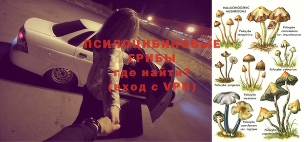 ECSTASY Бородино