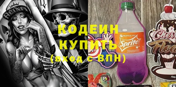 ECSTASY Бородино