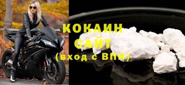 ECSTASY Бородино