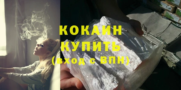 бошки Бронницы