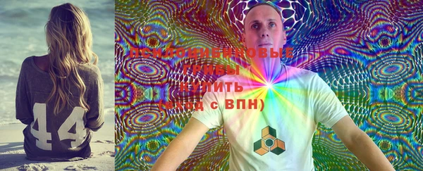 ECSTASY Бородино